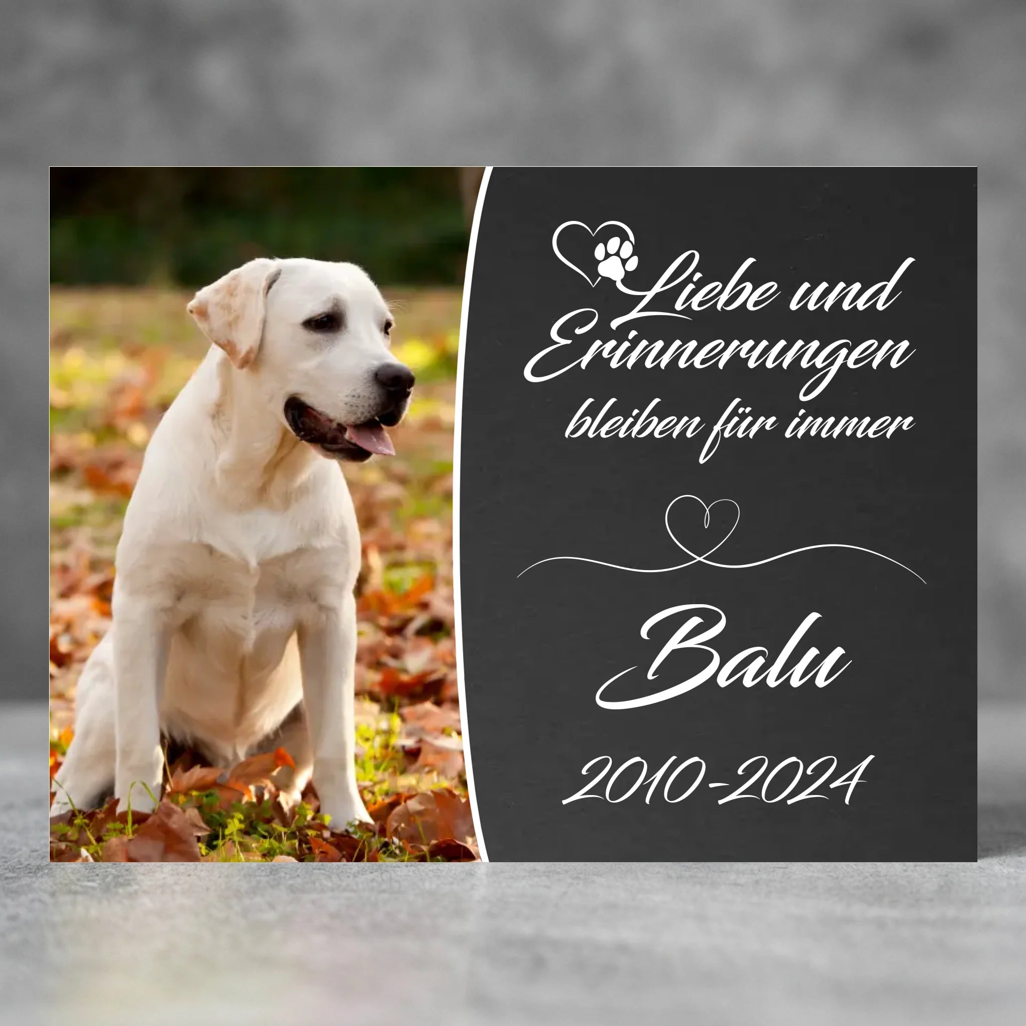 Personalisierte Gedenktafel für einen Hund mit Foto als Erinnerungsort